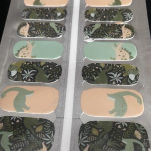 dino party nail wrap dinosaur
